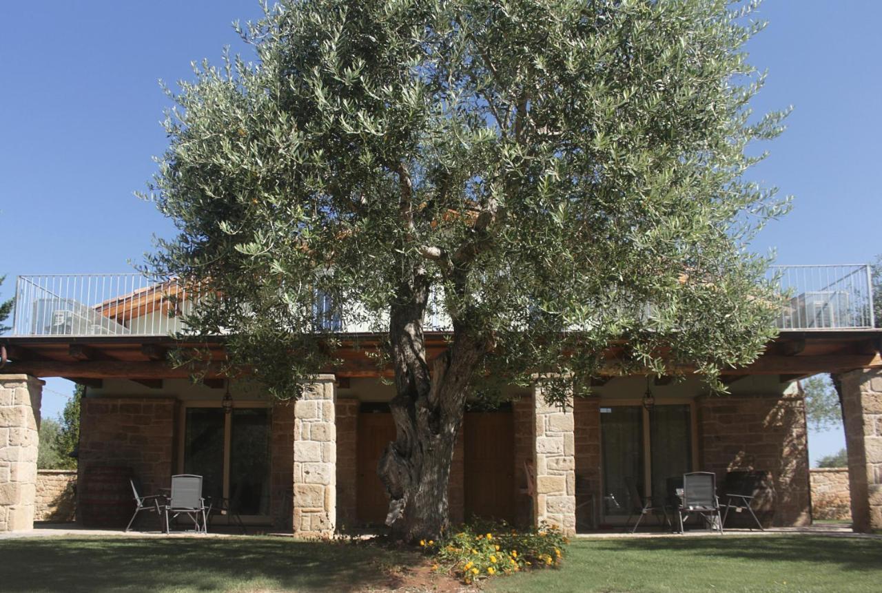Bed and Breakfast Casal Lluent Alghero Exteriér fotografie